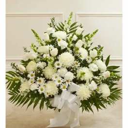 Tribute 201
