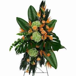 Tropical Spray