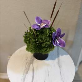 Small green floral arrangement with purple orchid blooms in a black pot