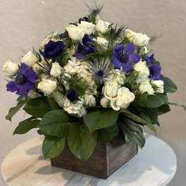 Midnight Elegance Garden Box