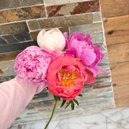 Peonies, Assorted colors, Limited Availability