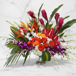 Tropical Sunset Luxe