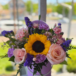 Violeta