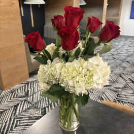 Long stem roses in hydrangea
