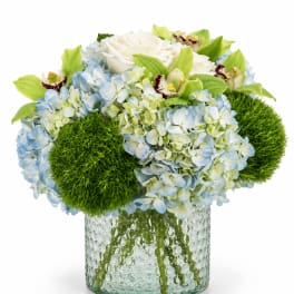 Blue Haven Luxe