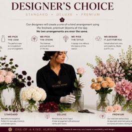 Designer’s Choice Vase Arrangement