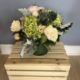 Jessica's summer garden