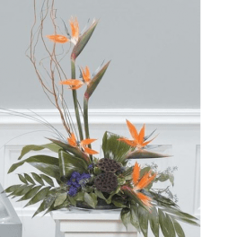 Tropical arrangement with orange bird-of-paradise flowers and dark seed pods