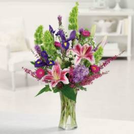Stargazer Garden Flower