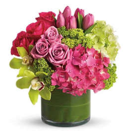 New Sensations Flower