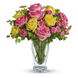 Glorious Day Flower