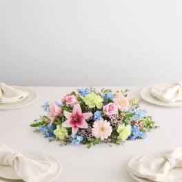 Watercolor Skies Delphinium
