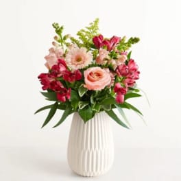 Blush Expressions Flower