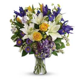 Spring Iris Flower