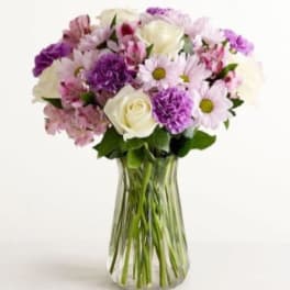 Lavender Garden Flower