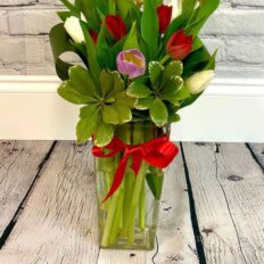 Rainbow Tulips Flower