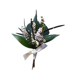 Small bouquet of white flowers with dark green leaves and a white ribbon