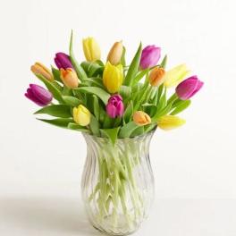 Assorted Tulip