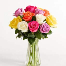Dozen Assorted Roses