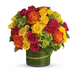 Blossoms in Vogue Flower
