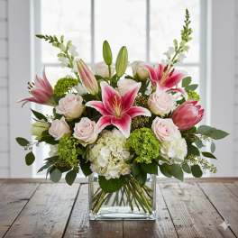 Beauty in Pinks flower
