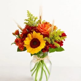 Fields of Europe for Fall Flower