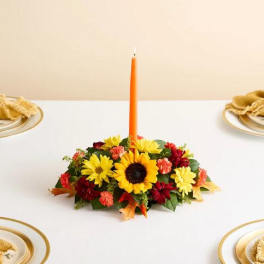 Fields of Europe for Fall Centerpiece