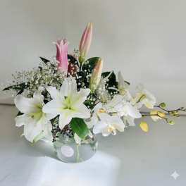 Whitewave flower