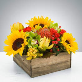 Picnic Flower