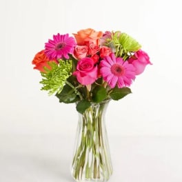 Vibrant Blooms Flower