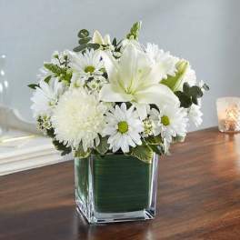 Healing Tears All White Flower