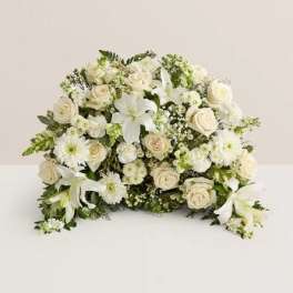 Crescent Cremation - All White