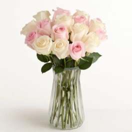 Lovely Mom Roses