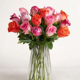 Sorbet Roses Flower