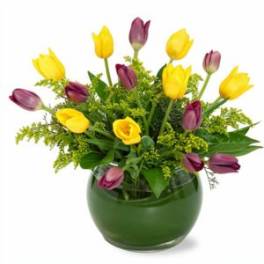 Touch of Tulips Flower