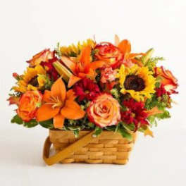 Fields of Europe for Fall Basket