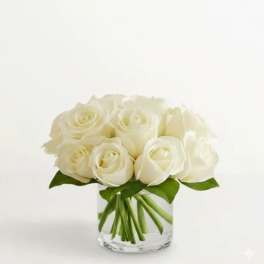 Contemporary White Roses