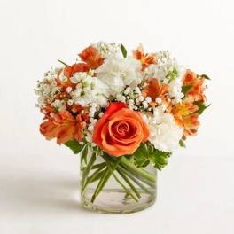 Sweet Citrus Flower
