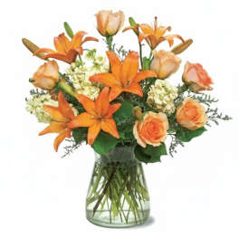 Peach Glow Flower