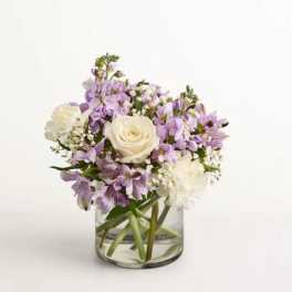 Lovely Lavender Medley