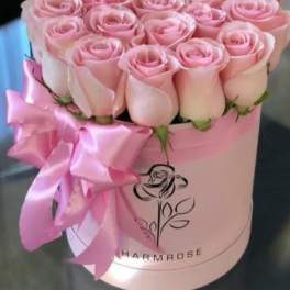 Blush Harmony-Pink Rose Box