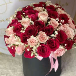 Elegant Rose in Round Box