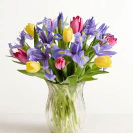 Fanciful Spring Tulip & Iris