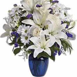 Beautiful in Blue Flower