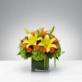 Cube of Wonder Flower