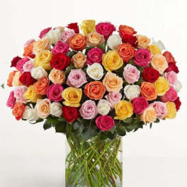 100 Premium Long Stem Assorted Roses
