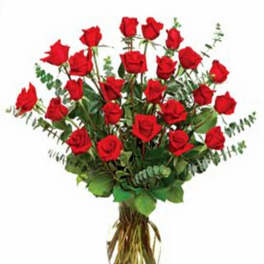 Two Dozen Red Roses