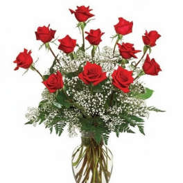 Dozen Deluxe Roses