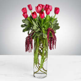 Pink tulips in a tall glass vase with trailing burgundy amaranthus