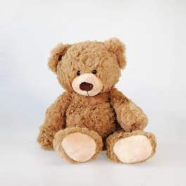 Plush teddy bear sitting against a white background
